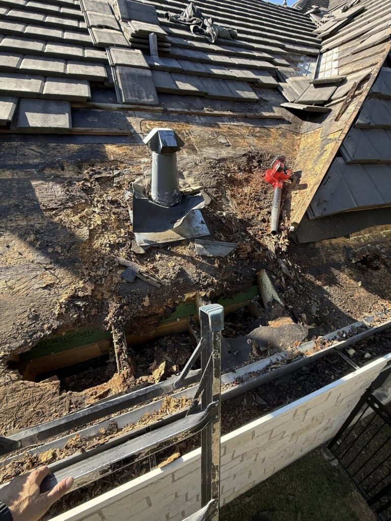 Comprehensive Roofing Solutions for Homes and Businesses in Irving, TX