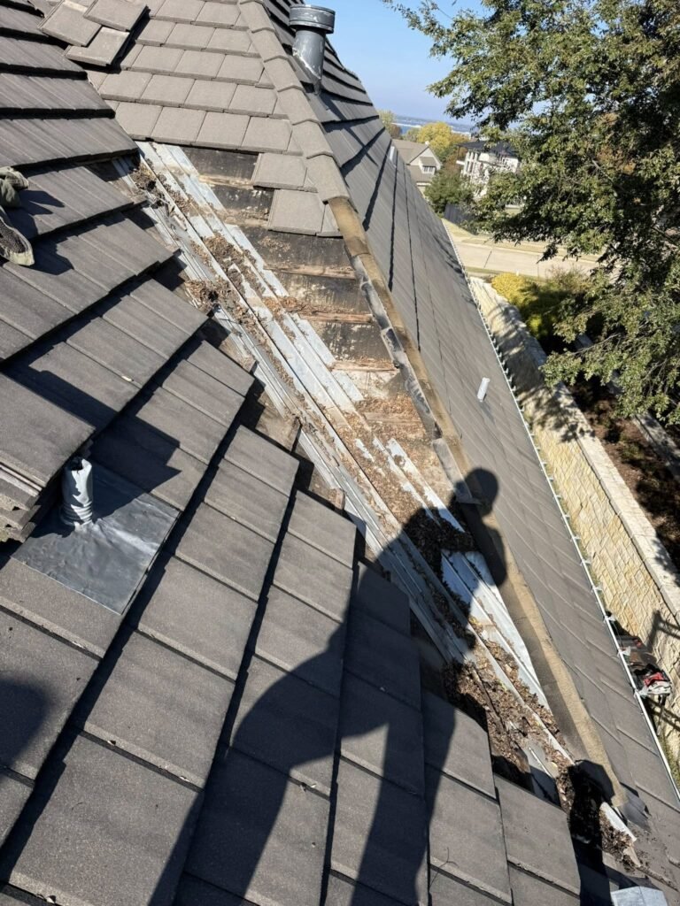 Exterior Upgrades That Elevate Curb Appeal and Protection in Irving, TX